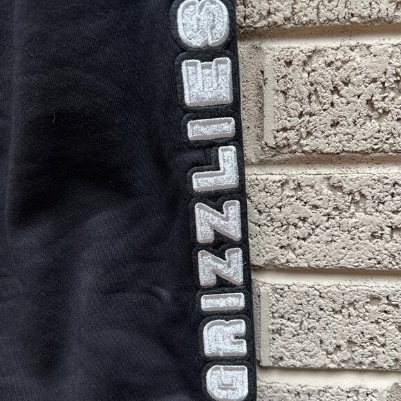 Pro Standard Memphis Grizzlies Pearl Fleece Pants NWT Large - Picture 5 of 8